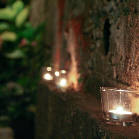 Sintra Center Guest House Escape To Nature Εξωτερικό φωτογραφία