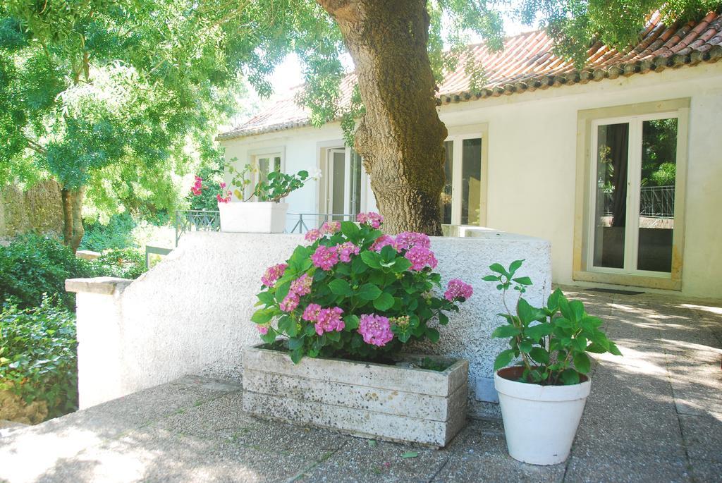 Sintra Center Guest House Escape To Nature Εξωτερικό φωτογραφία