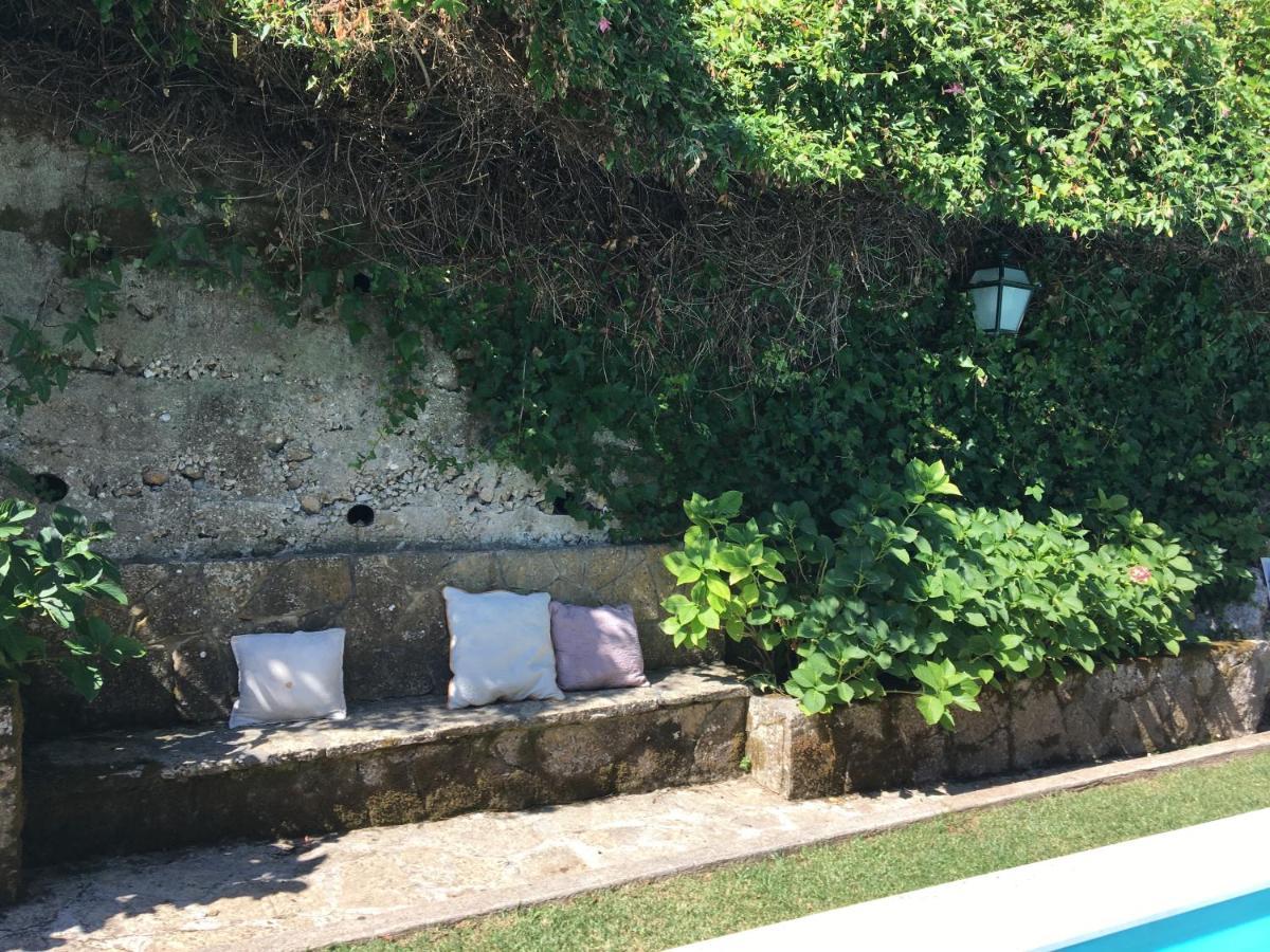 Sintra Center Guest House Escape To Nature Εξωτερικό φωτογραφία