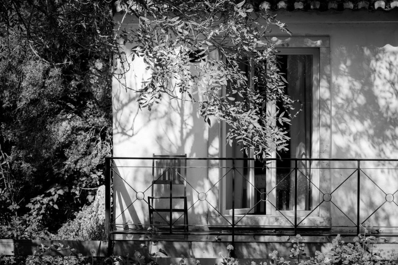Sintra Center Guest House Escape To Nature Εξωτερικό φωτογραφία
