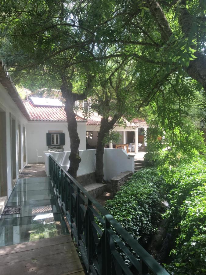 Sintra Center Guest House Escape To Nature Εξωτερικό φωτογραφία